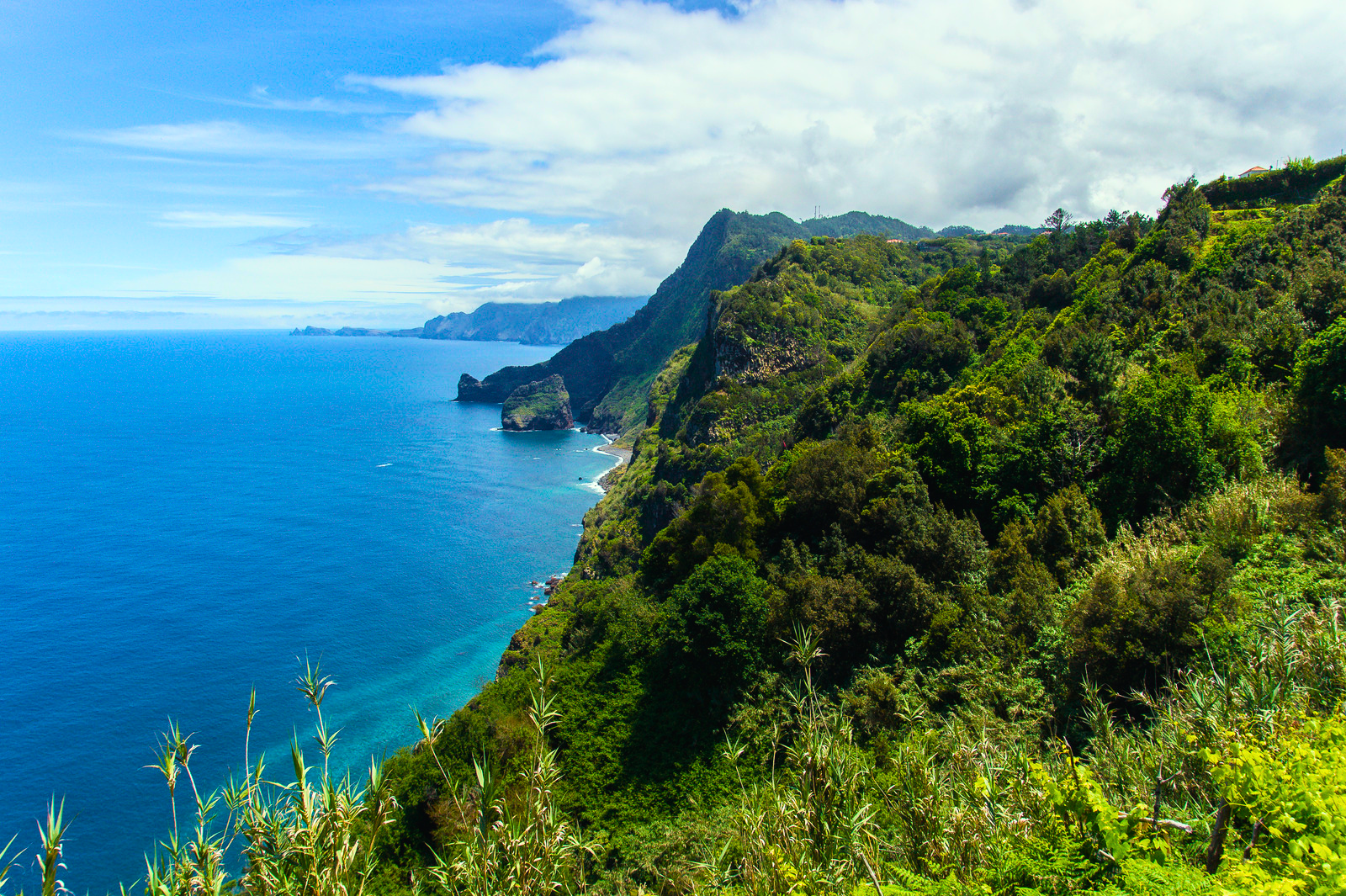 Travelling Through Time with Madeira… — Grande Passione