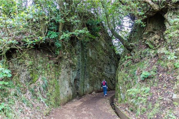 levada walk in Madeira