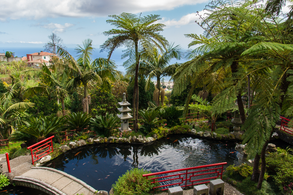 monte palace in funchal