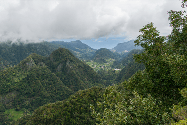 madeira vacation