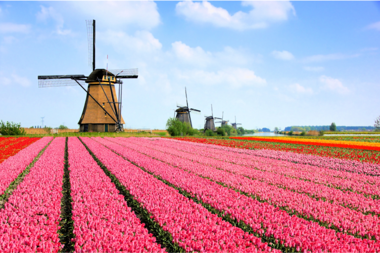 A Practical Guide on Spending Spring in the Netherlands + Incredible Activities