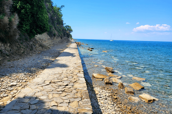 things to do in piran