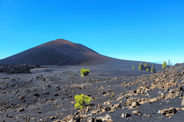 things to do in Tenerife