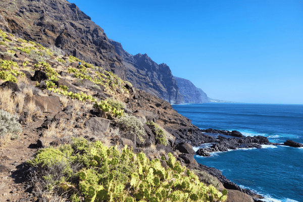 things to do in tenerife north