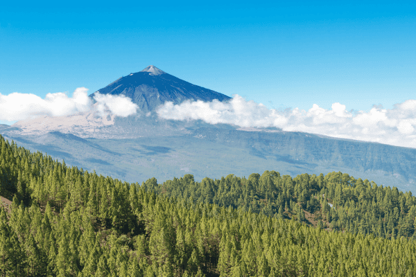 travel guide tenerife winter