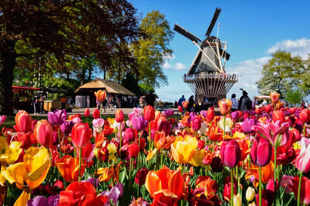 keukenhof Lisse