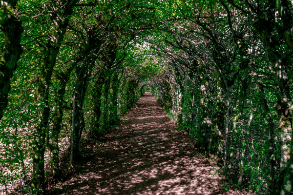 hidden gems in belgium