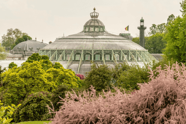 greenhouses brussels