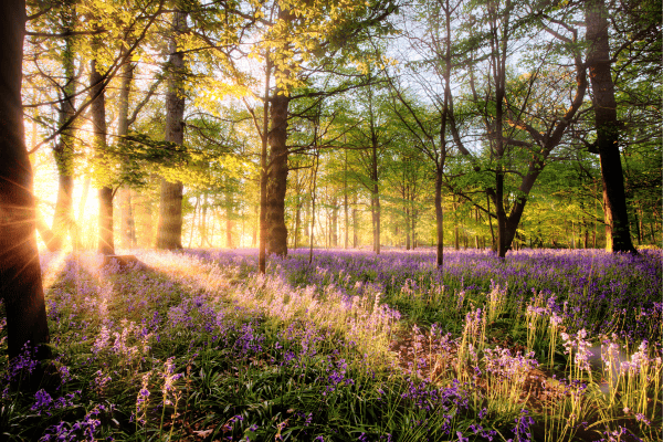 beautiful places in belgium