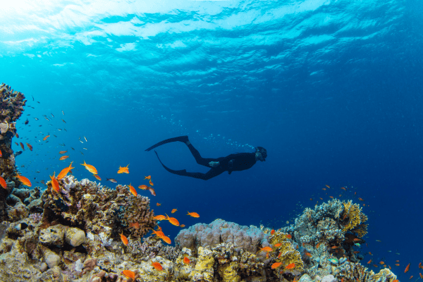 canary islands travel guide