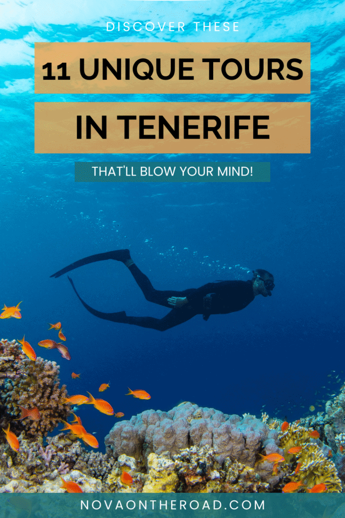canary islands travel guide