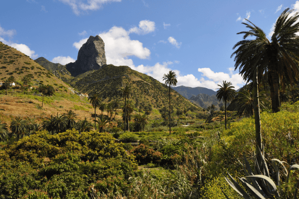 excursions tenerife