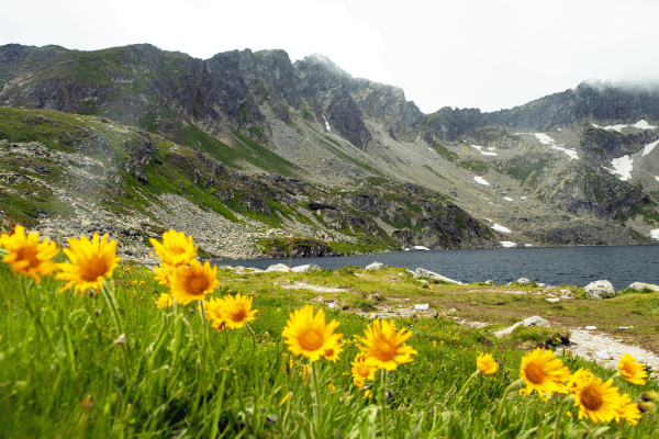 things to do in slovakia