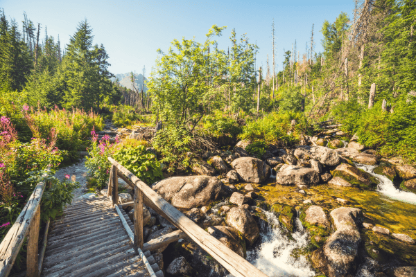 Tatra mountains hikes