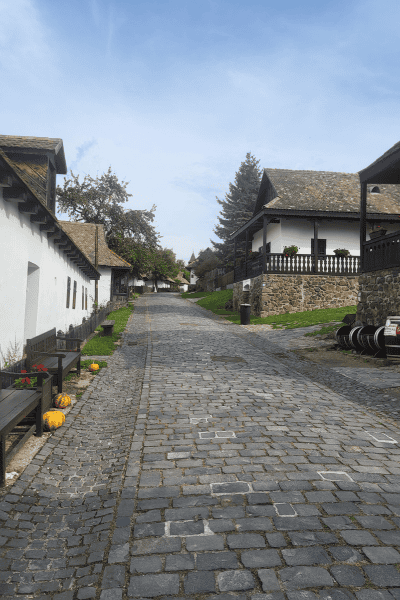 things to do in holloko