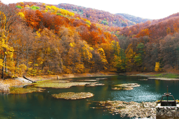 things to do in hungary