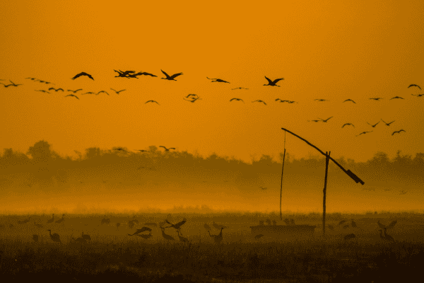 hortobagy national park