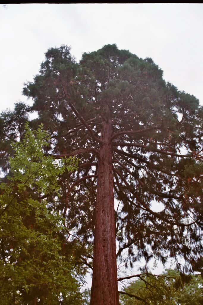 slovakia travel guide