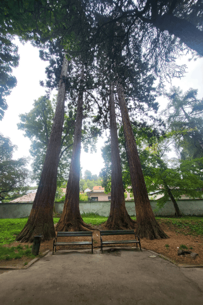 things to do in banska stiavnica