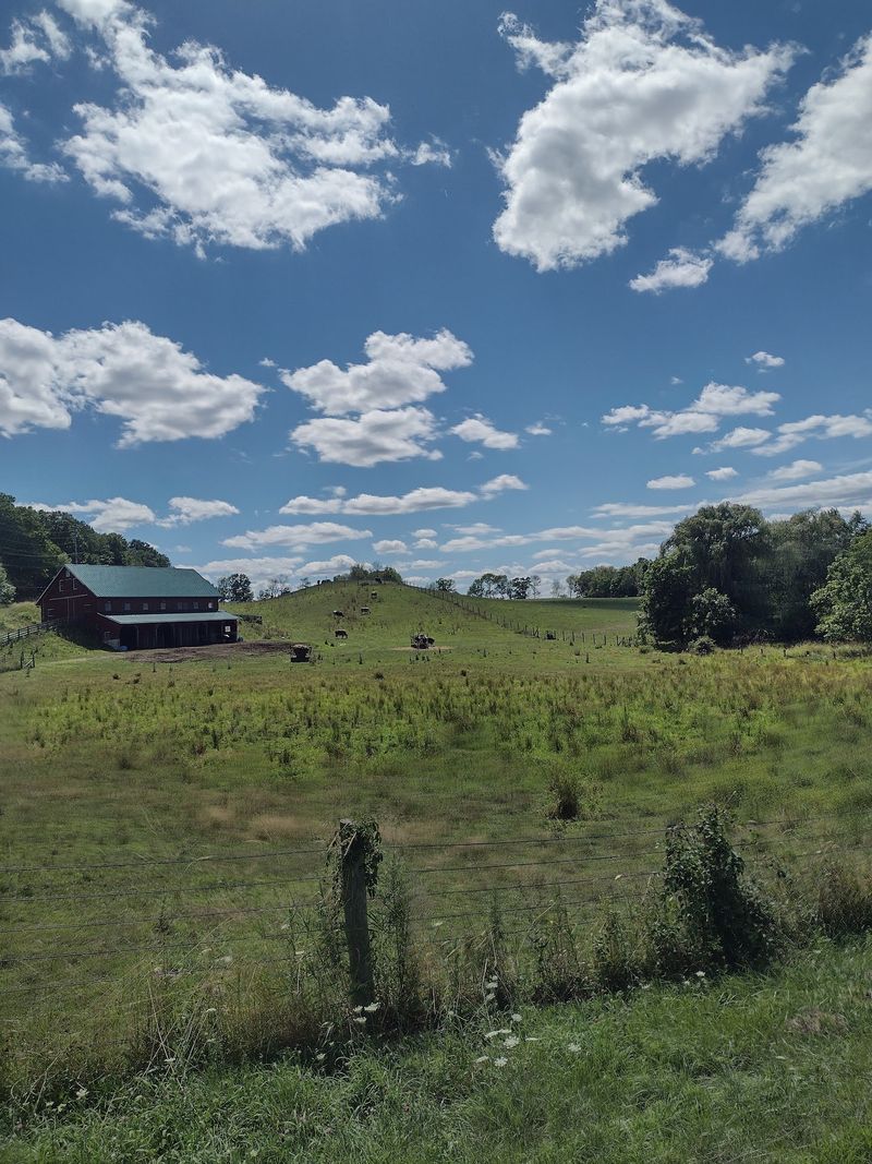240 Acres Of Second Chances In Sussex County