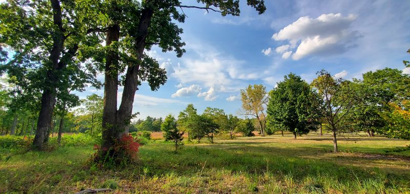 A 1,700-Acre Forest Tucked Beside Route 53 A 1,700-Acre Forest Tucked Beside Route 53