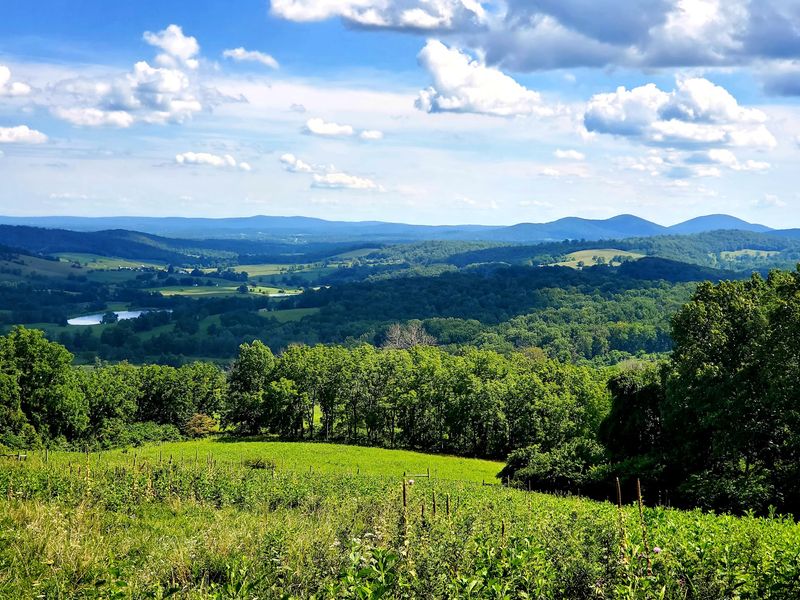 A 1,900-Acre Backyard on the Edge of the Blue Ridge A 1,900-Acre Backyard on the Edge of the Blue Ridge