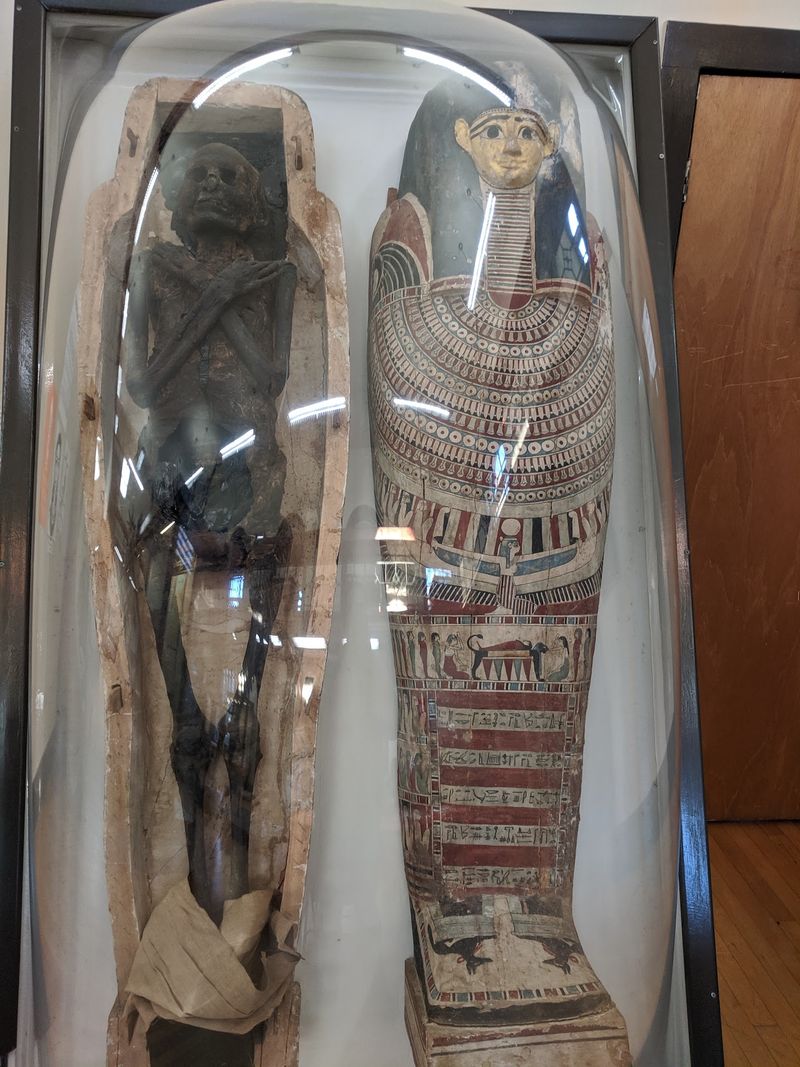 A 2,400-Year-Old Visitor From Northern Egypt
