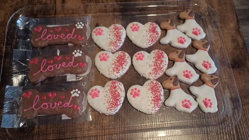 A Bakery Case Built For Wagging Tails A Bakery Case Built For Wagging Tails
