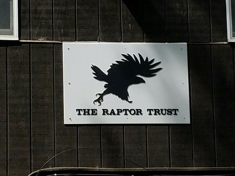 A Bird Hospital Where The Patients Never Get A Bill