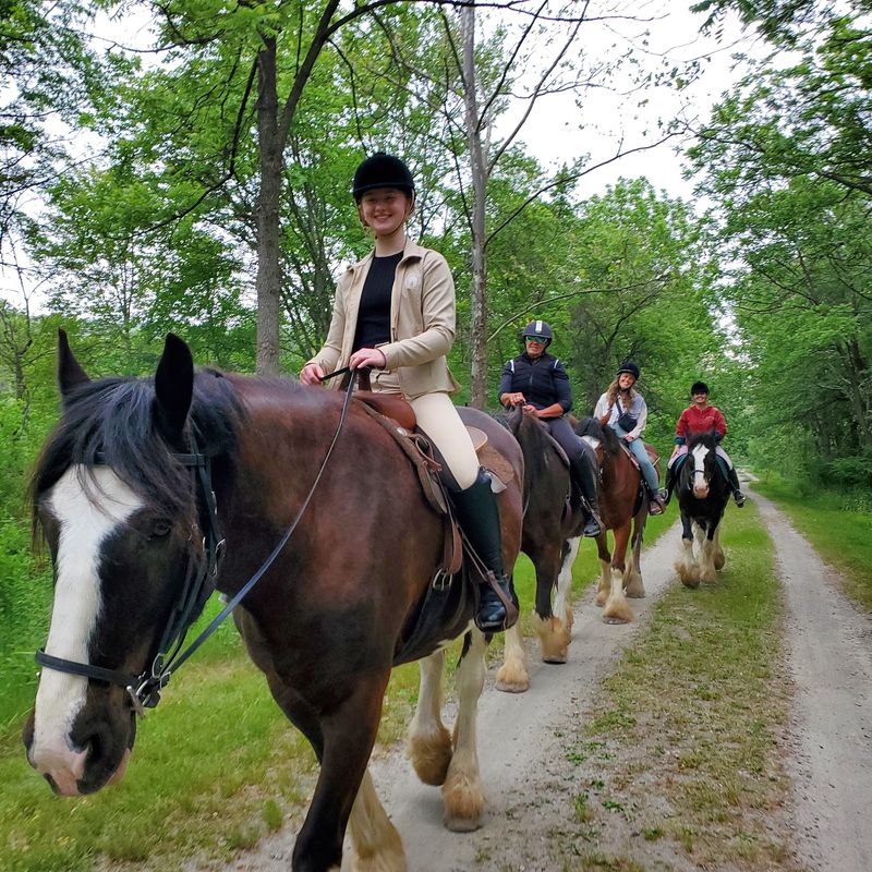 A Clydesdale Farm Hiding In Rural Morris County A Clydesdale Farm Hiding In Rural Morris County