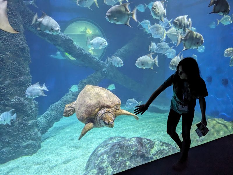 A Coastal Science Hub That Happens To Throw A Great Party A Coastal Science Hub That Happens To Throw A Great Party