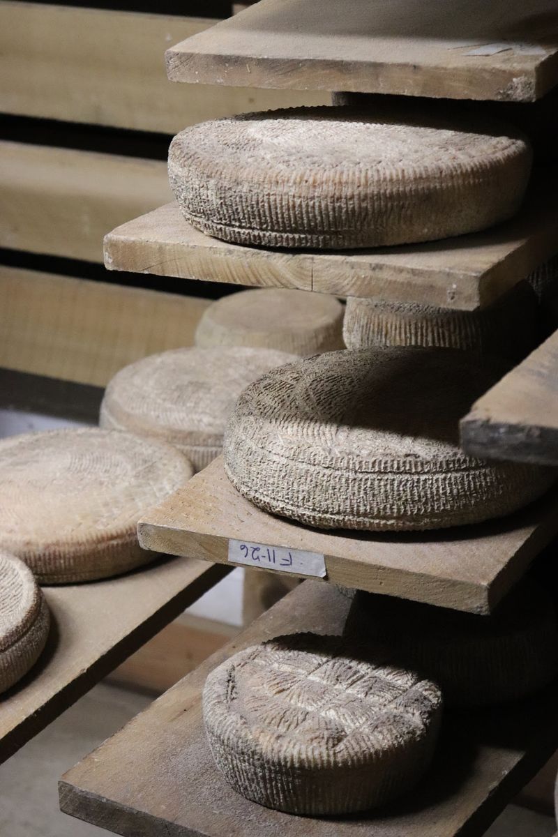 A Cool Cheese Cave Where Patience Pays Off