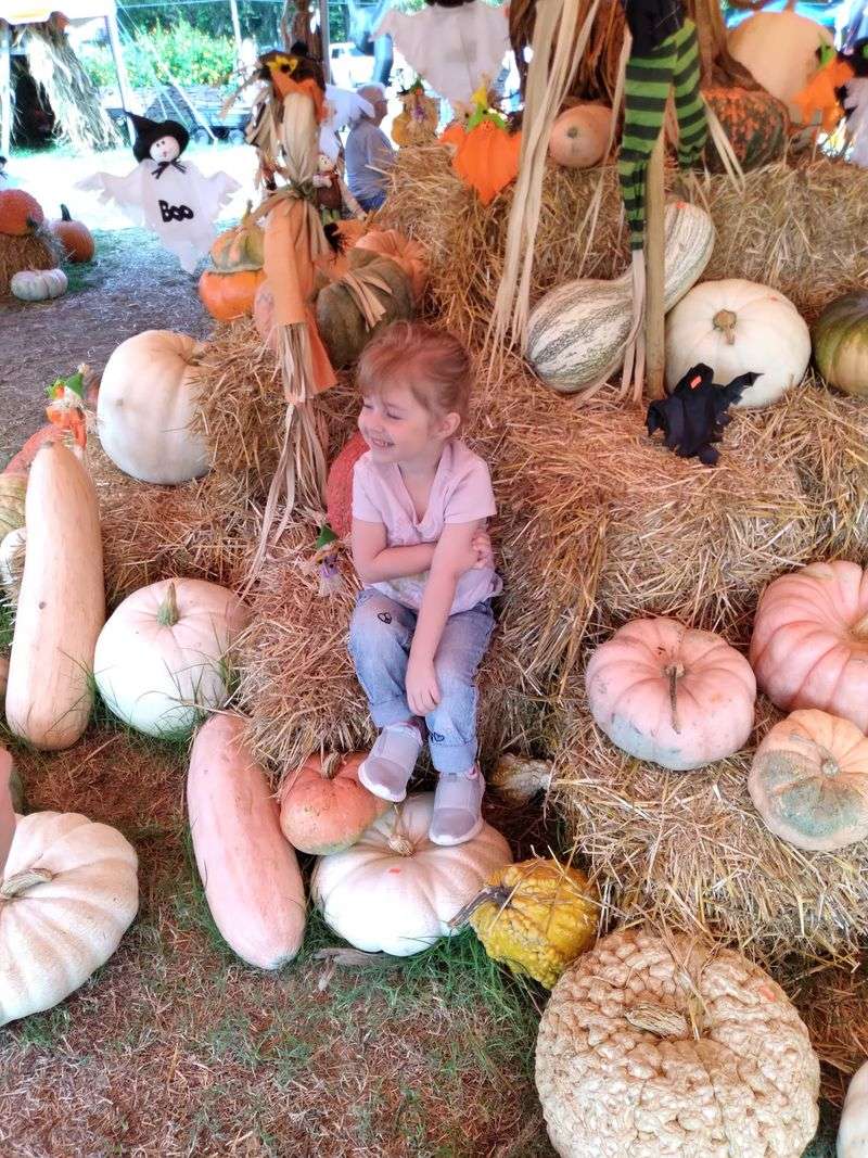 A Creepy Witch, Live Tunes, and Plenty of Photo Spots