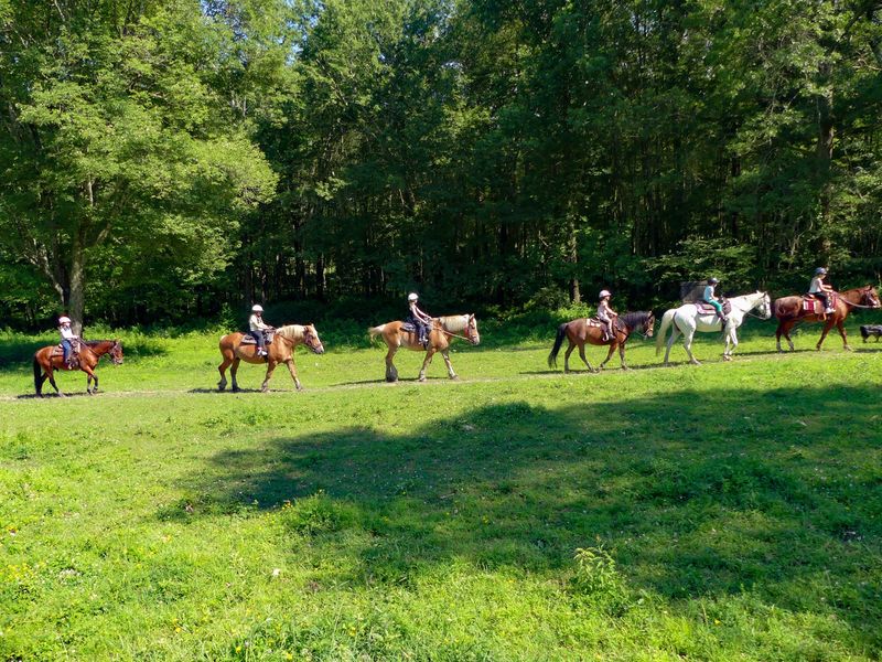 A Family Horse Farm Waiting Off Route 302
