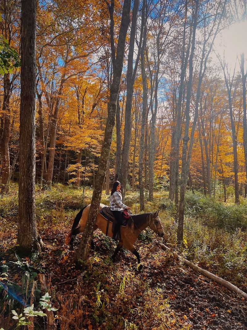 A Family Ranch Sitting At The Edge Of Wild Sussex County A Family Ranch Sitting At The Edge Of Wild Sussex County