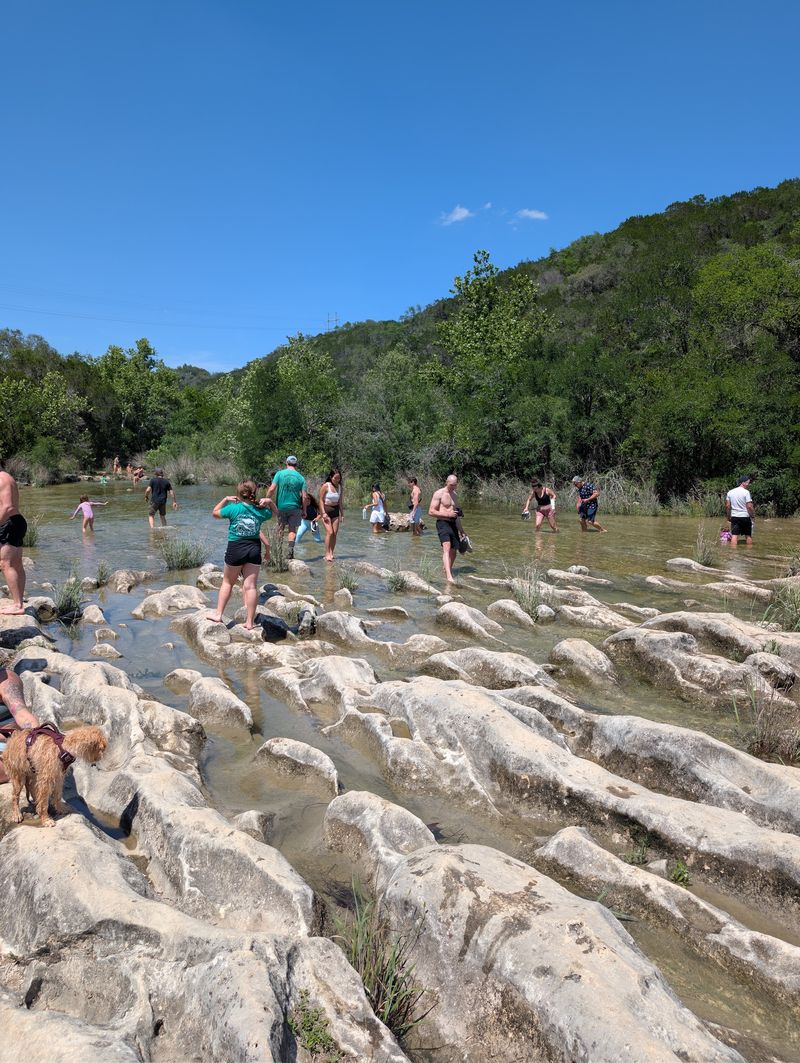 A Free Creek Worth Chasing A Free Creek Worth Chasing