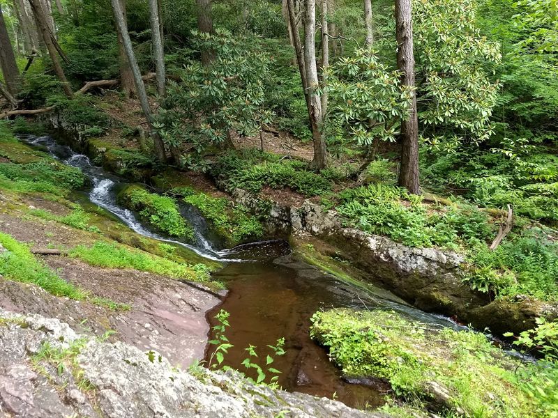 A Free Water Spout Waiting Deep In The Sussex County Woods A Free Water Spout Waiting Deep In The Sussex County Woods