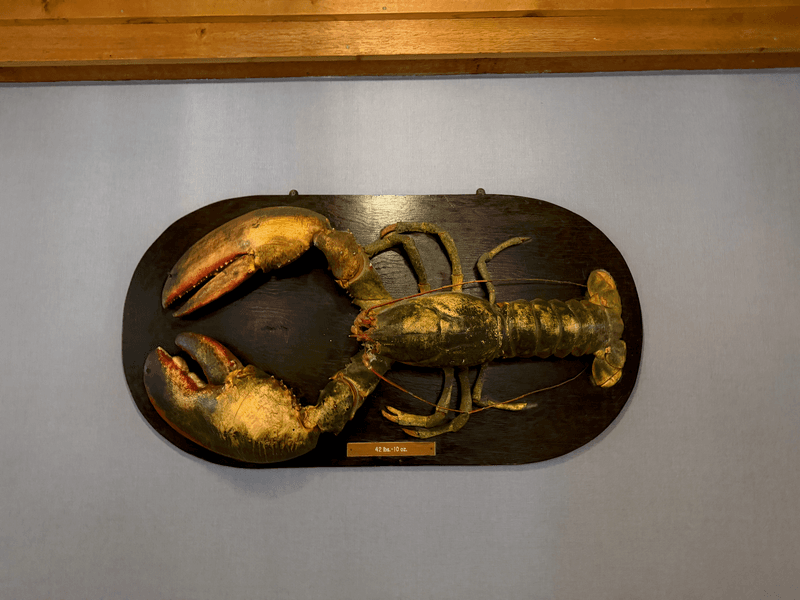 A Giant Lobster Is Waiting By The Host Stand A Giant Lobster Is Waiting By The Host Stand