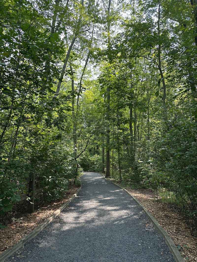A Gravel Path Past More Than 70 Cages And Aviaries