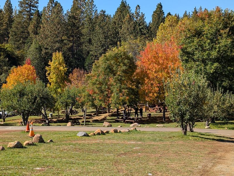A Laid-Back Stop For Folks Who Like Their Farms Simple A Laid-Back Stop For Folks Who Like Their Farms Simple