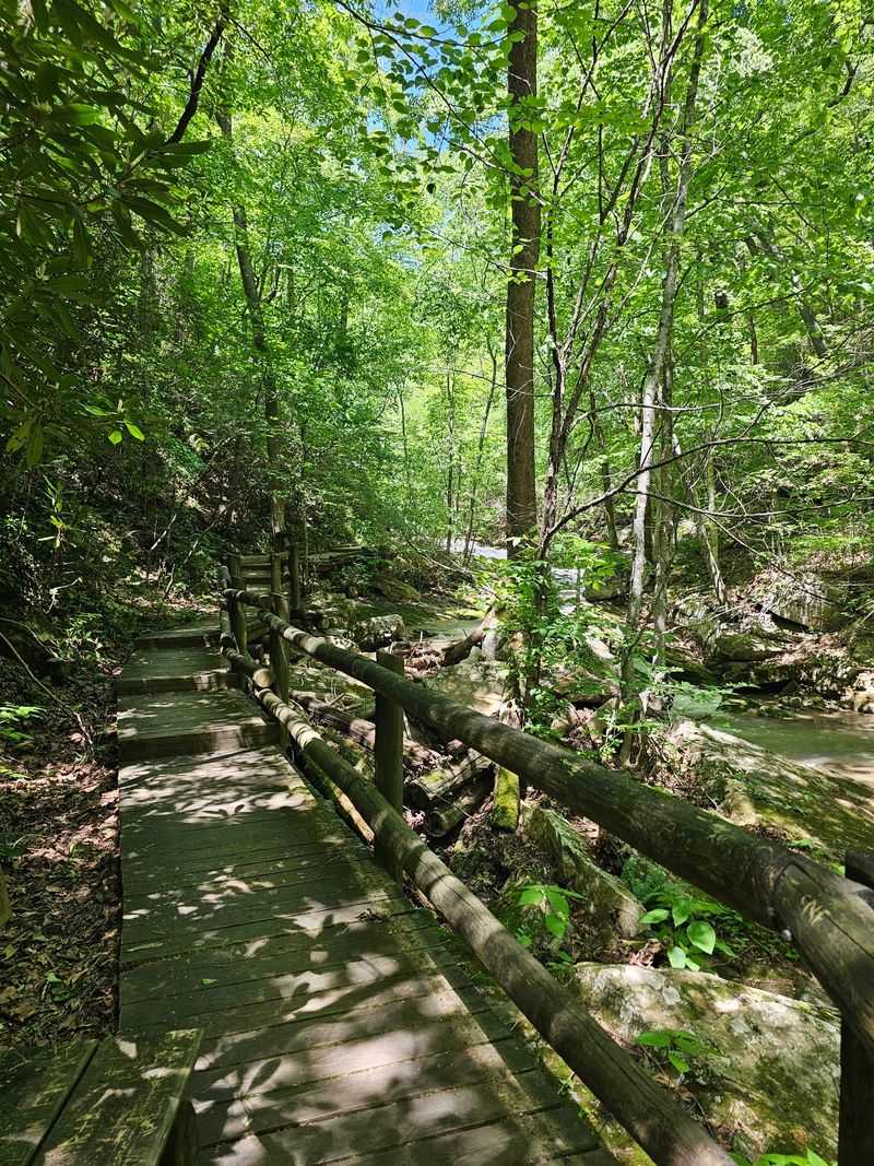 A Mountain Creek Walk That Starts Right Where You Park A Mountain Creek Walk That Starts Right Where You Park