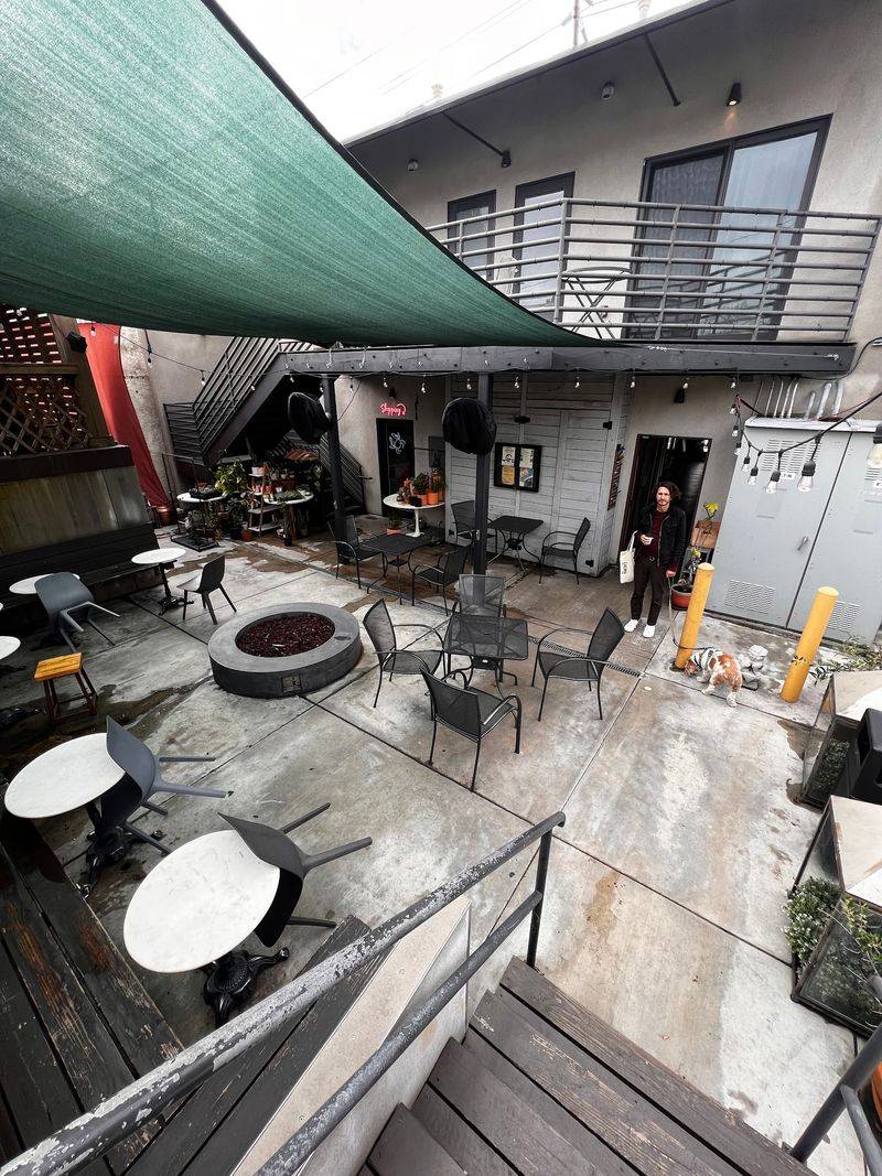 A Neighborhood Cafe Where Dogs Get The Backyard A Neighborhood Cafe Where Dogs Get The Backyard