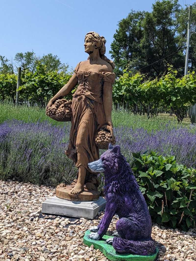 A Purple Welcome Waiting In The Shenandoah Valley A Purple Welcome Waiting In The Shenandoah Valley