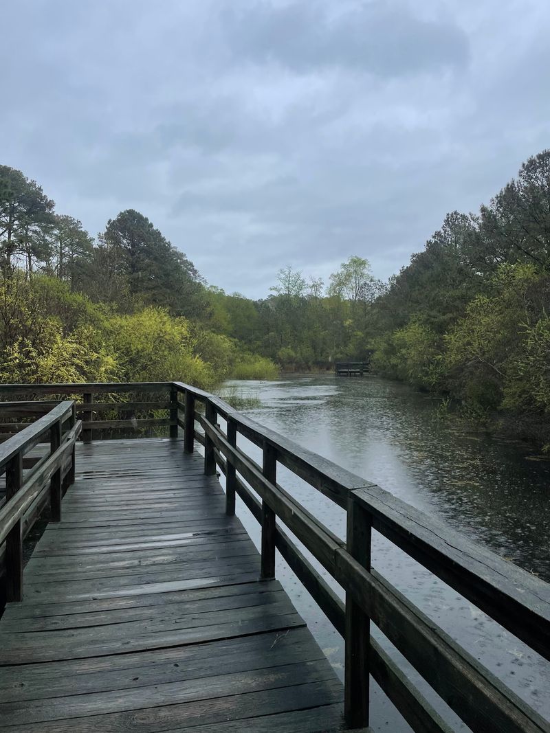 A Rainy-Day Walk With a Mellow Mood A Rainy-Day Walk With a Mellow Mood
