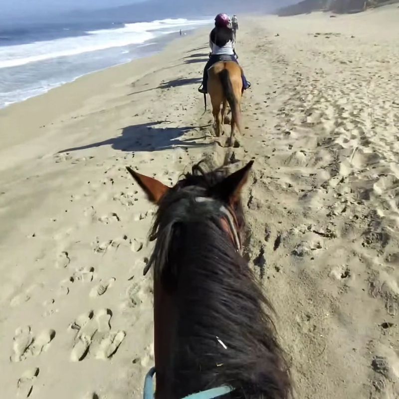 A Saddle-Level View Of The California Coast Worth The Drive A Saddle-Level View Of The California Coast Worth The Drive