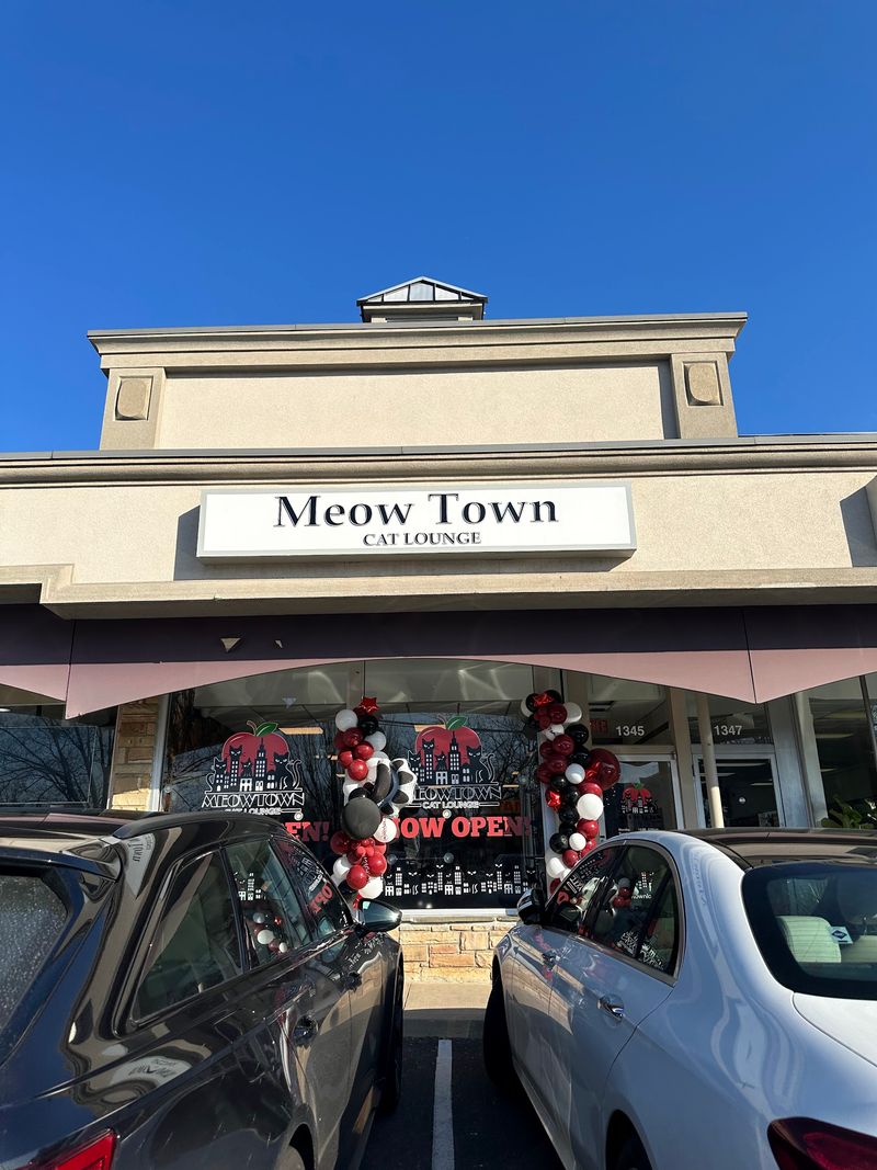 A Shopping Center Spot With a Big-Hearted Purpose