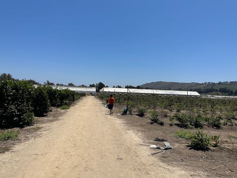 A Small Ventura County Farm That Plays The Quiet Sibling Role