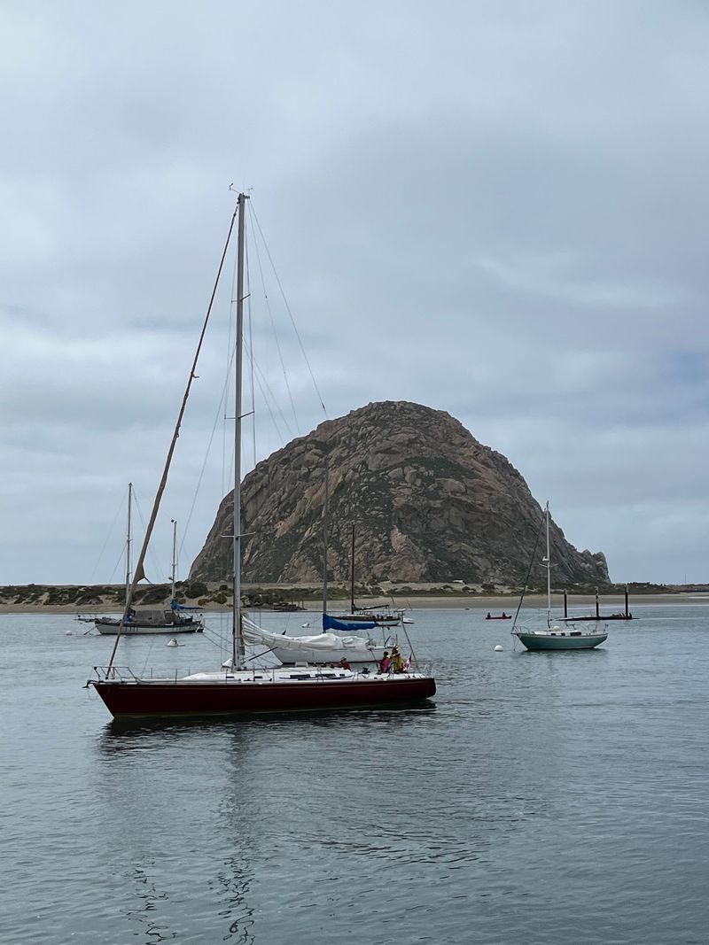 A Waterfront Table That Puts You Face To Face With Morro Rock