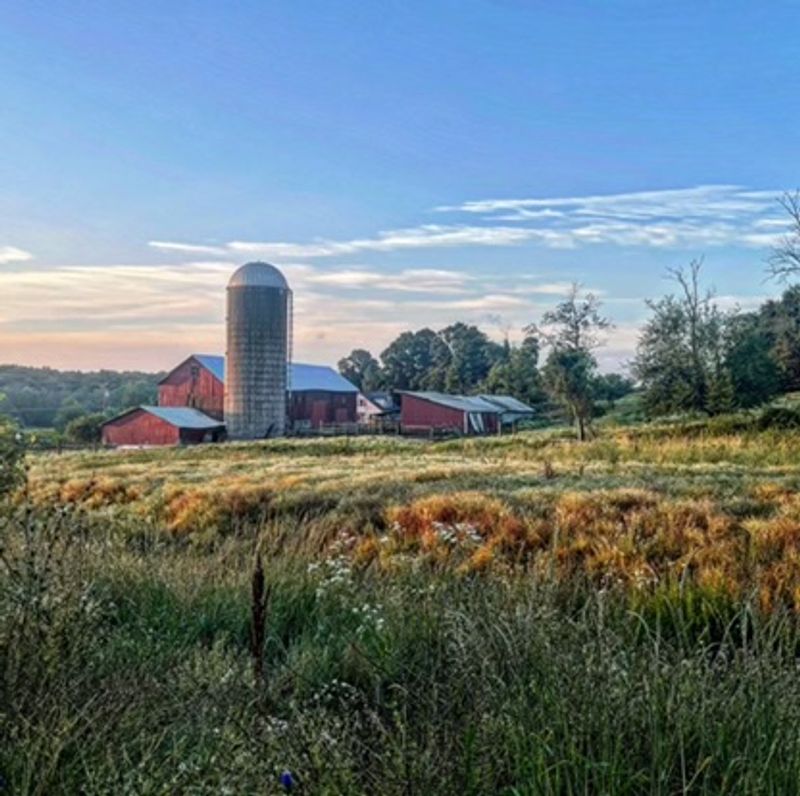 A Weekend Farm Store Way Up In Sussex County