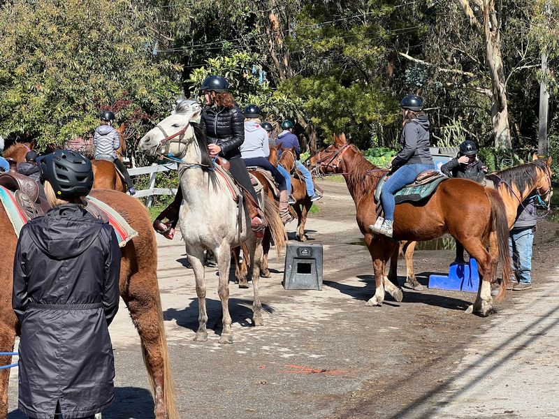 A Working Horse Ranch Sitting Right Off Highway 1 A Working Horse Ranch Sitting Right Off Highway 1